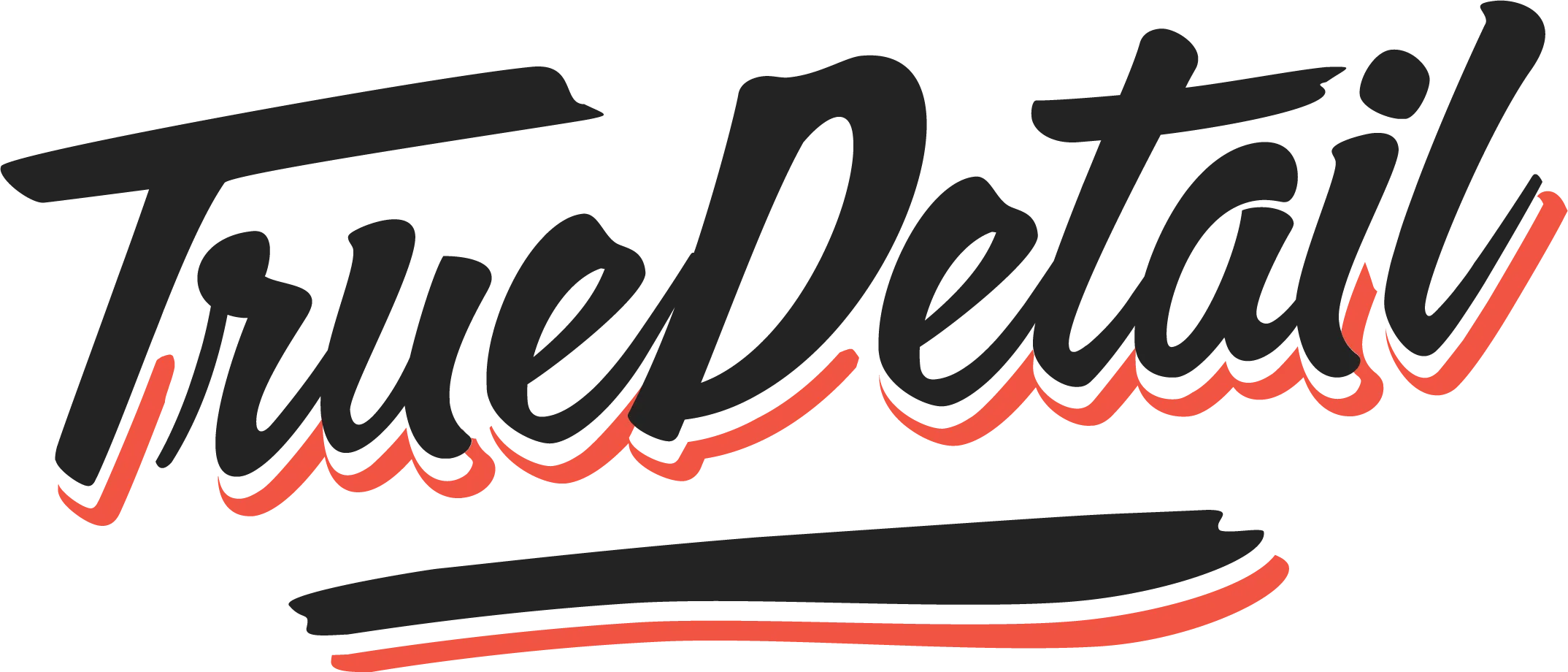 TrueDetail logo